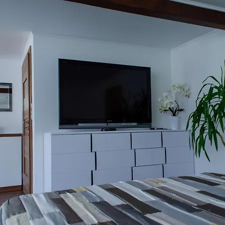 Lizard Apartman Čeladná