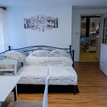 Lizard Διαμέρισμα *