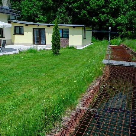 Lizard Διαμέρισμα